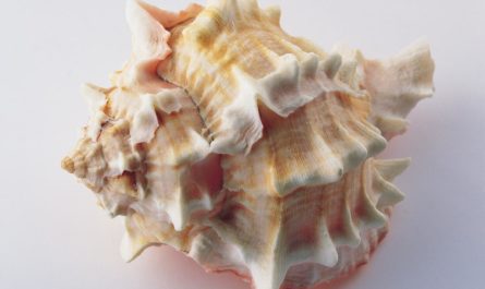 分手被拉黑，如何挽回？挽回攻略075期