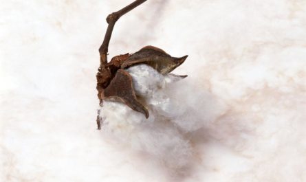 分手了男友把我拉黑了：挽回感情很容易，对症下药就可能挽回