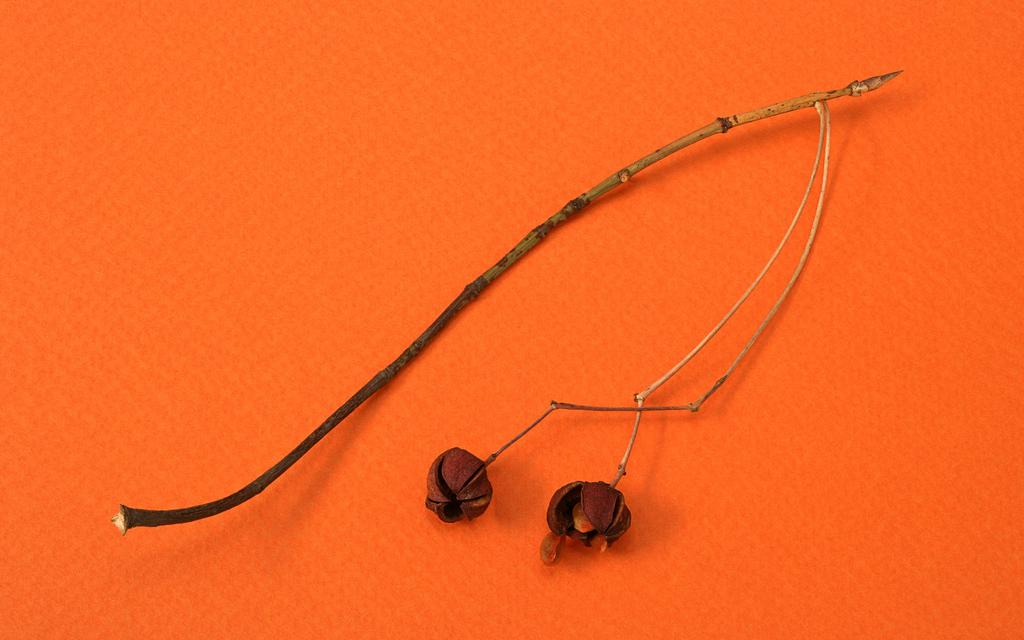 刚分手就被男友拉黑了，还能挽回吗