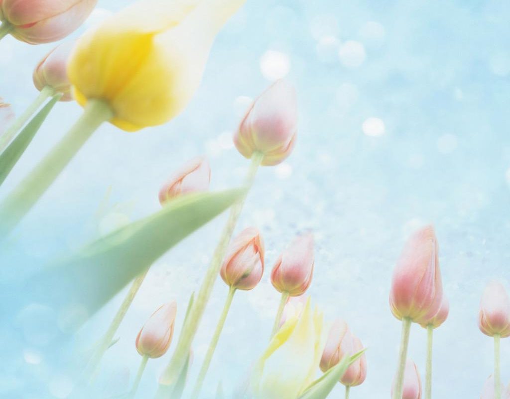 分手挽回技巧被拉黑后如何挽回