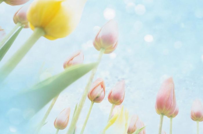 离婚后老婆如何挽回，老婆离婚后如何挽回？