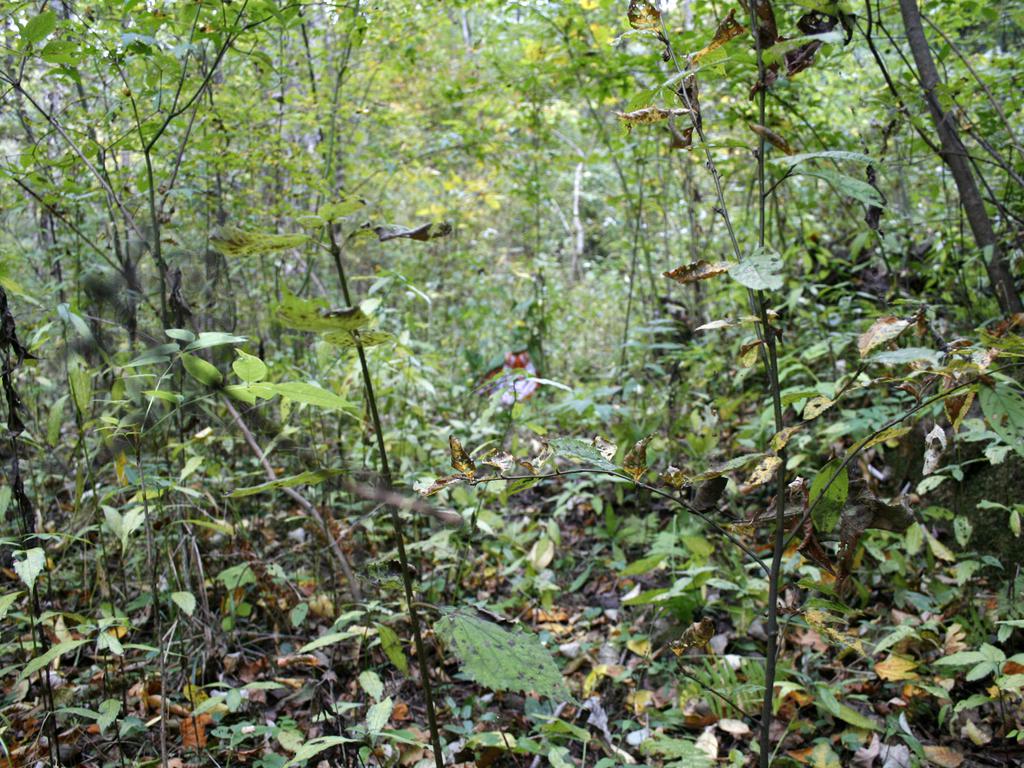 分手挽回女朋友：一个女的把你拉黑怎么挽回？