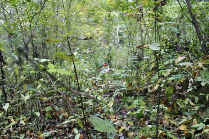 怎样挽留男人的心：如果这四件事情做到了，轻松挽回出轨的老公