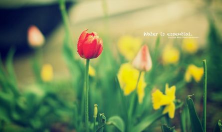 把握这3个挽回技巧，让Ta后悔分手主动求复合！