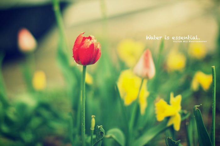 如何挽回老公策略——想让丈夫和好如初，这3个前提必须掌握