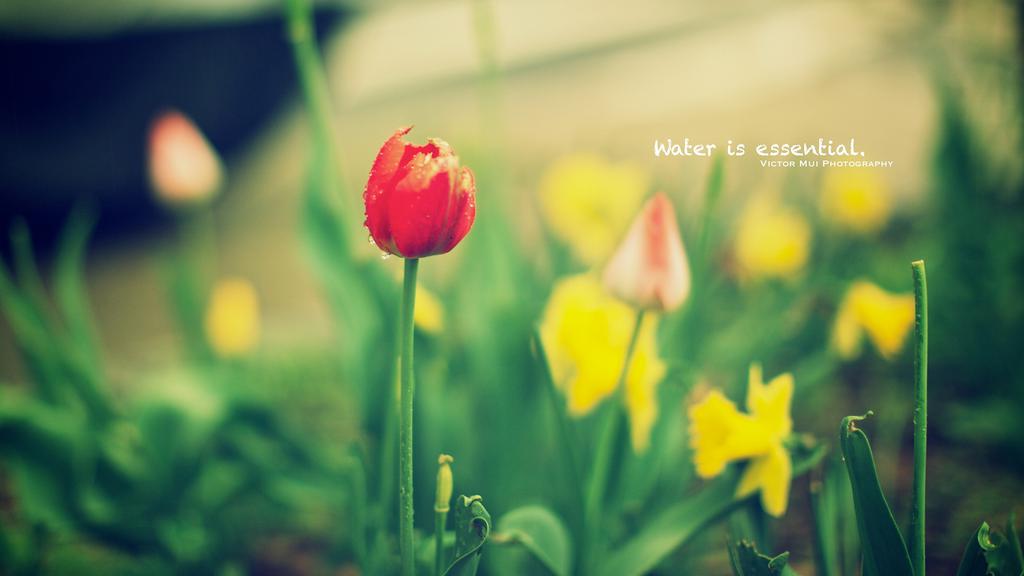 如何挽回老公策略——想让丈夫和好如初，这3个前提必须掌握