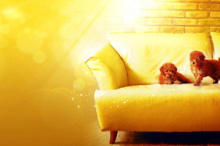 分离第三者专场：婚姻中出现了婚外情，该怎么分离