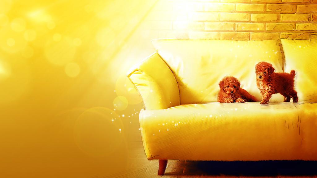 分离第三者专场：婚姻中出现了婚外情，该怎么分离