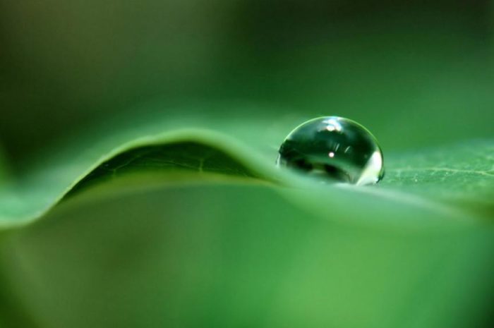 快速挽回水瓶座的方法：怎么挽回对你死心的水瓶座？