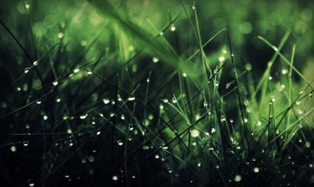 嚣张小三挑衅刺激原配，出轨男人维护小三，原配怎么分离第三者？