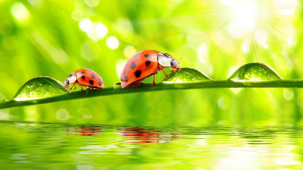 婚外情处理攻略，分离第三者技巧